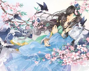 狼有视频不迷路